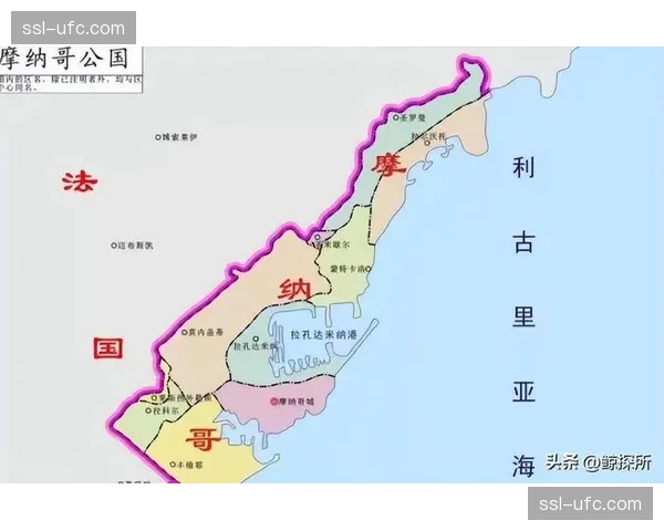 摩纳哥伤病名单高达8人,密集赛程下体能危机加剧 摩纳哥伤病名单高达8人,密集赛程下体能危机加剧